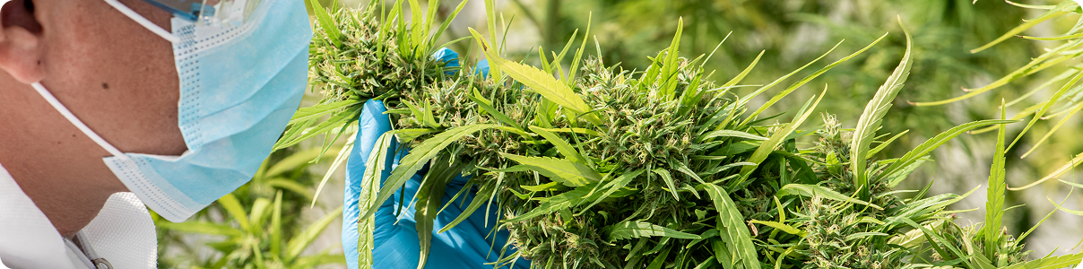 New Design Feature Img 2