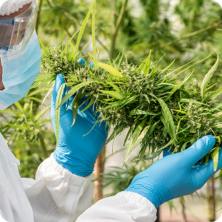 New Design Mobile Feature Img 2