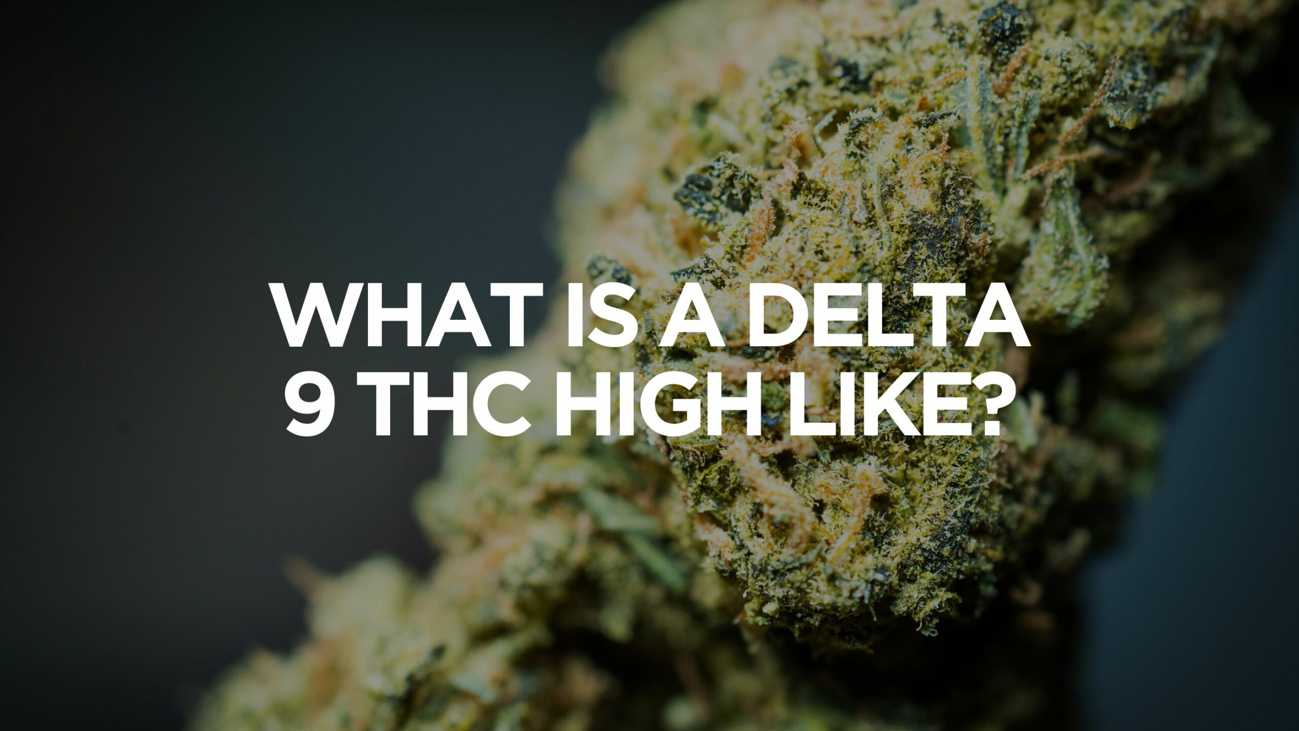 What Is a Delta 9 THC High Like?