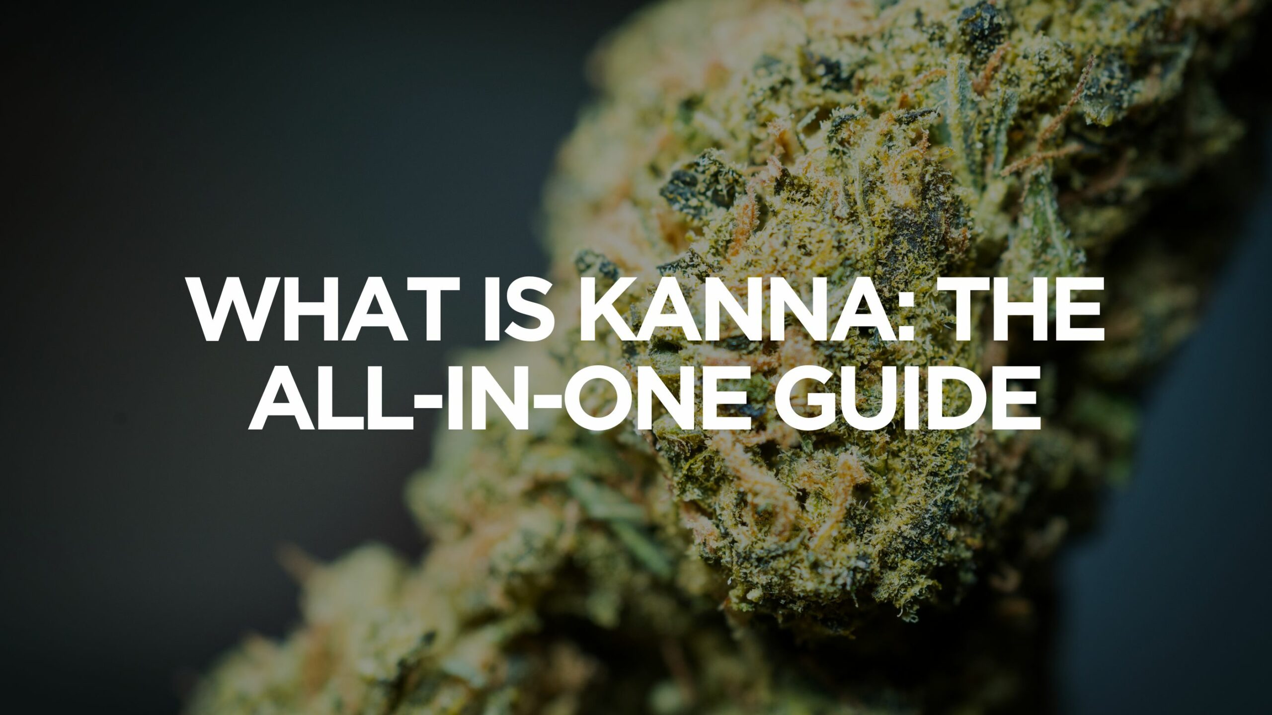 What Is Kanna: The All-In-One Guide 9 What Is Kanna?